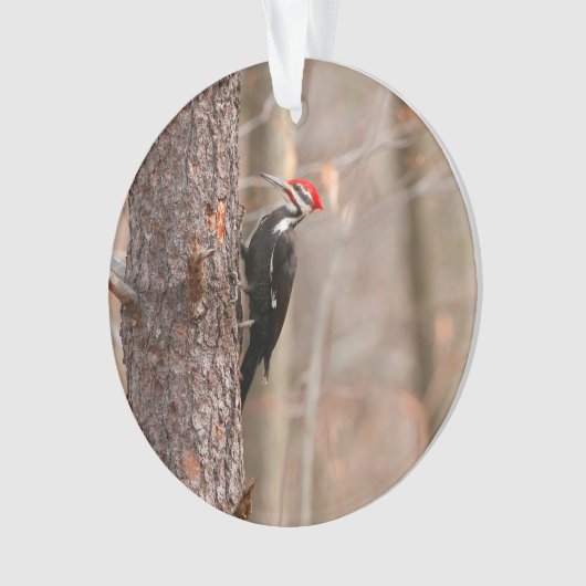 Pileated Woodpecker Ornament (voorkant)