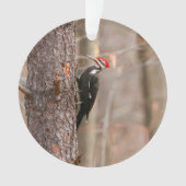 Pileated Woodpecker Ornament (voorkant)