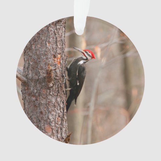 Pileated Woodpecker Ornament (voorkant)
