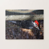 Pileated Woodpecker Puzzle Legpuzzel (Horizontaal)