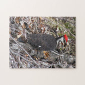 Pileated Woodpecker Puzzle Legpuzzel (Horizontaal)