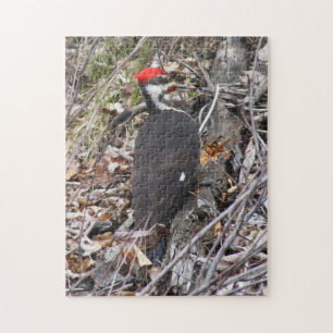 Pileated Woodpecker Puzzle Legpuzzel