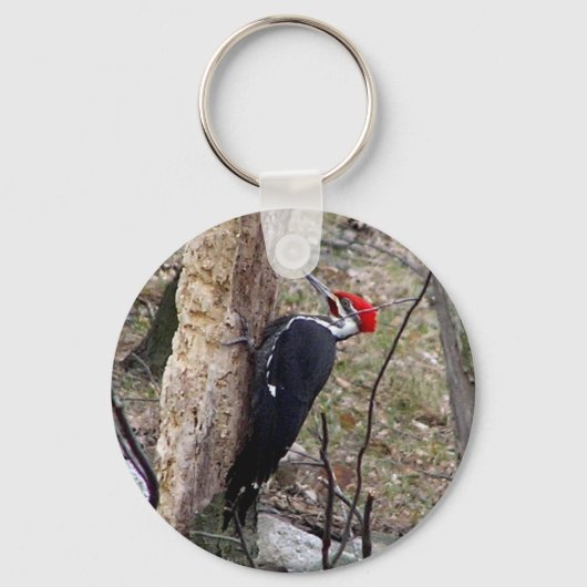 Pileated Woodpecker Sleutelhanger (Voorkant)