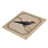 Pileated Woodpecker Tan Tegeltje (Zijkant)