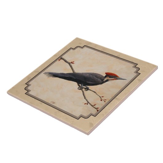 Pileated Woodpecker Tan Tegeltje (Zijkant)