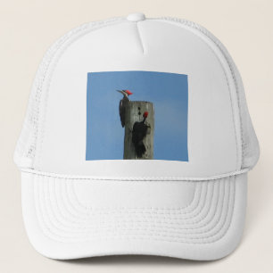 Pileated Woodpecker Trucker Pet