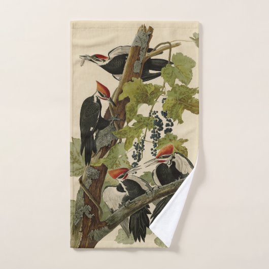 Pileated Woodpecker uit Audubon Birds of America Bad Handdoek (Handdoek)