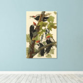 Pileated Woodpecker uit Audubon Birds of America Canvas Afdruk (Insitu (Houten vloer))