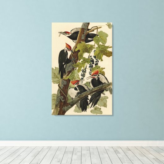 Pileated Woodpecker uit Audubon Birds of America Canvas Afdruk (Insitu (Houten vloer))