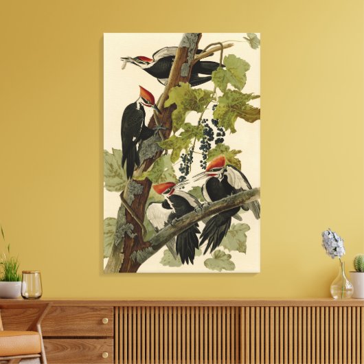 Pileated Woodpecker uit Audubon Birds of America Canvas Afdruk (Insitu (Woonkamer))