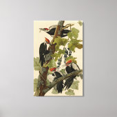 Pileated Woodpecker uit Audubon Birds of America Canvas Afdruk (Voorkant)
