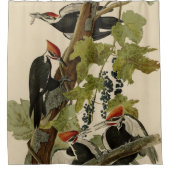 Pileated Woodpecker uit Audubon Birds of America Douchegordijn (Voorkant)