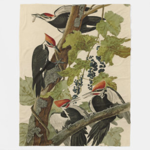Pileated Woodpecker uit Audubon Birds of America Fleece Deken