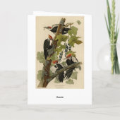 Pileated Woodpecker uit Audubon Birds of America Kaart (Achterkant)