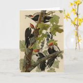 Pileated Woodpecker uit Audubon Birds of America Kaart (Gele Bloem)