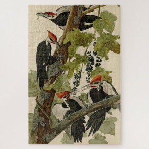 Pileated Woodpecker uit Audubon Birds of America Legpuzzel