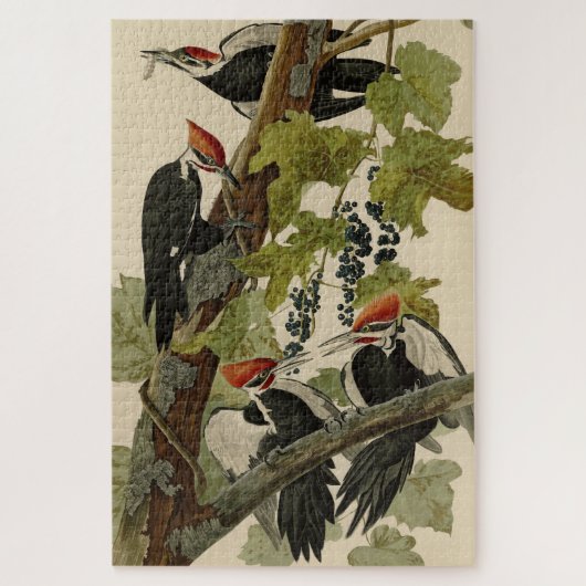 Pileated Woodpecker uit Audubon Birds of America Legpuzzel (Verticaal)