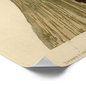 Pileated Woodpecker uit Audubon Birds of America Poster (Hoek)