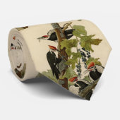 Pileated Woodpecker uit Audubon Birds of America Stropdas (Opgerold)