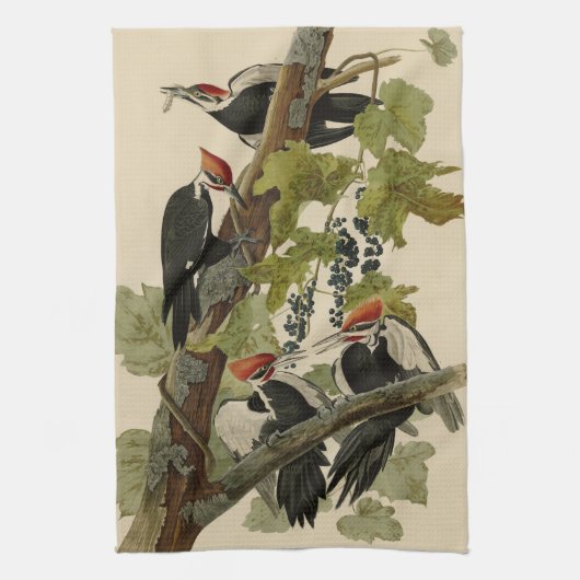 Pileated Woodpecker uit Audubon Birds of America Theedoek (Verticaal)