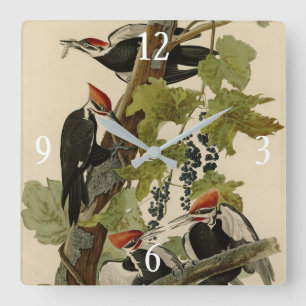 Pileated Woodpecker uit Audubon Birds of America Vierkante Klok