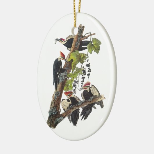 Pileated Woodpecker van Audubon Keramisch Ornament (Links)