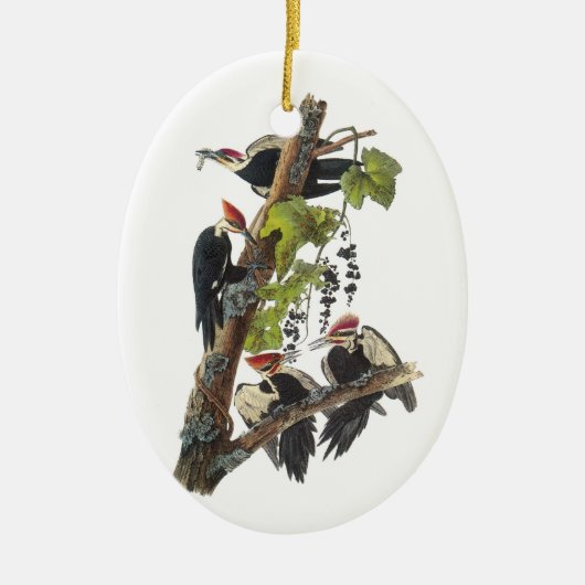 Pileated Woodpecker van Audubon Keramisch Ornament (Voorkant)