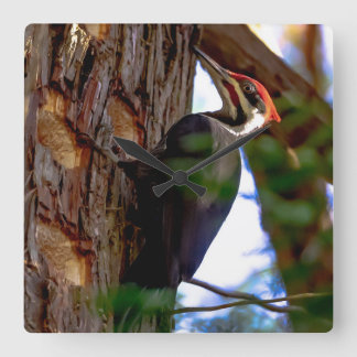 Pileated Woodpecker Vierkante Klok