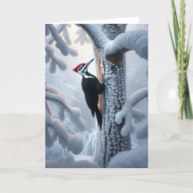 PILEATED WOODPECKER WINTER - WINTER WONDERLAND