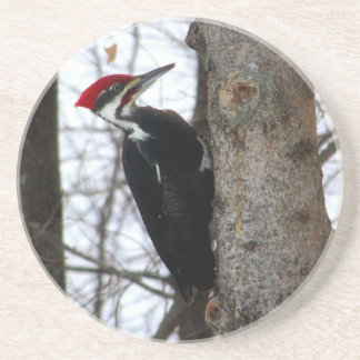 Pileated Woodpecker Zandsteen Onderzetter