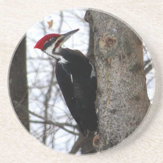 Pileated Woodpecker Zandsteen Onderzetter (Voorkant)