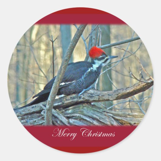 Pileed Woodpecker Merry-kerstartikelen Ronde Sticker (Voorkant)