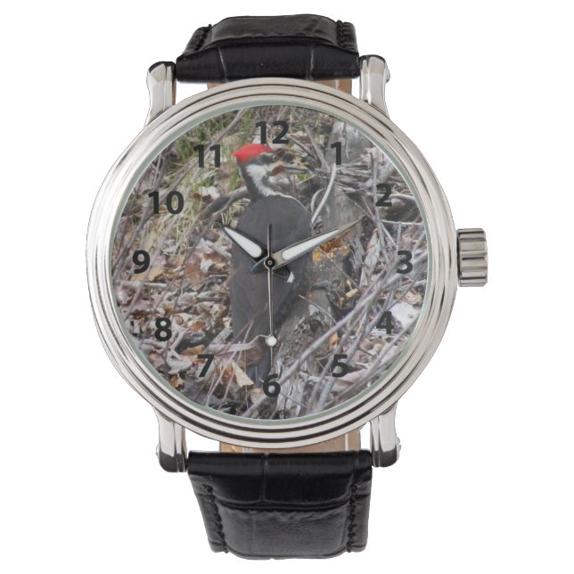 Pileed Woodpecker Pecking Watch Horloge (Voorkant)
