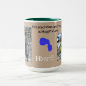 Pileet-houtspecht Mok (Midden)