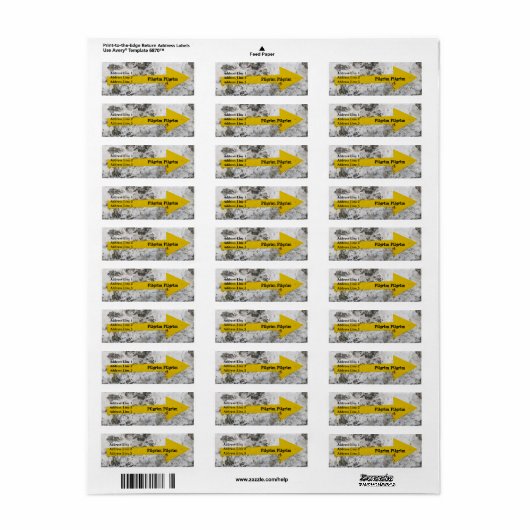 Pilgrim Arrow Adresetiketten Etiket (Full Sheet)