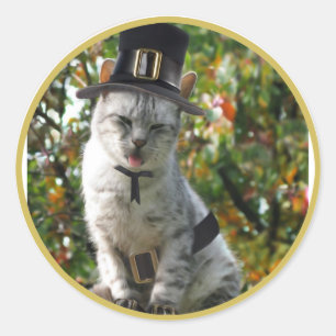 Pilgrim Cat Ronde Sticker