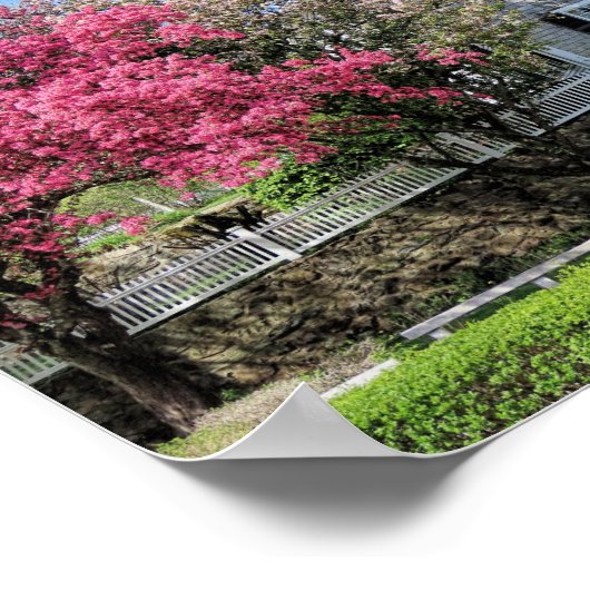 Pilgrim Moeder Plymouth MA Spring Poster (Hoek)