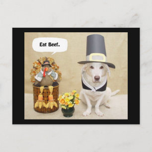 Pilgrim Myrtie Briefkaart