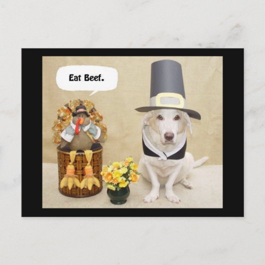 Pilgrim Myrtie Briefkaart (Voorkant)