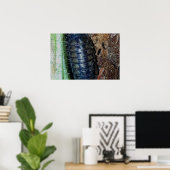Pill Bug (foto) - Poster (Thuiskantoor)