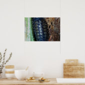 Pill Bug (foto) - Poster (Keuken)