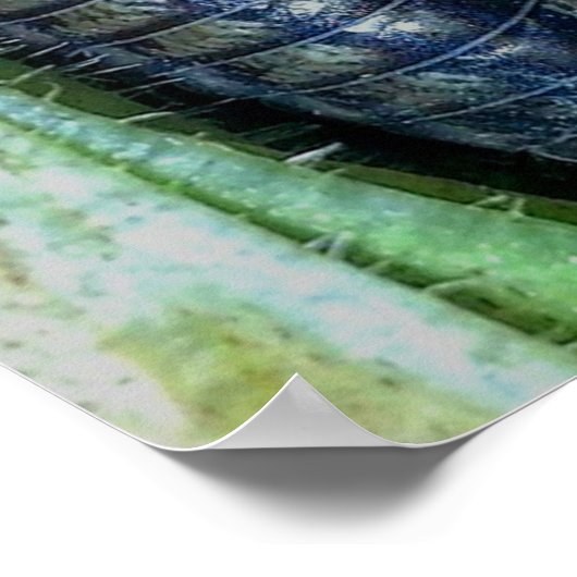 Pill Bug (foto) - Poster (Hoek)