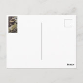 Pillars Briefkaart (Achterkant)