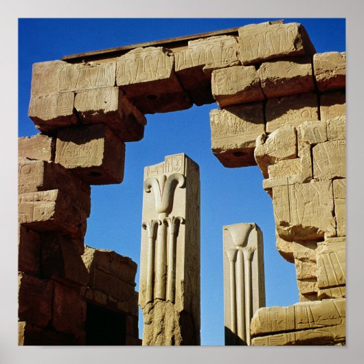 Pillars met gestileerde lotus poster (Voorkant)
