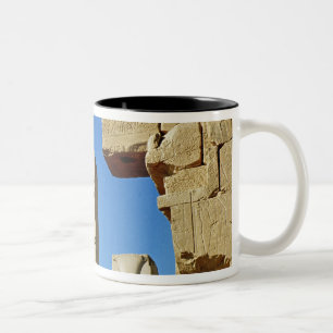 Pillars met gestileerde lotus tweekleurige koffiemok