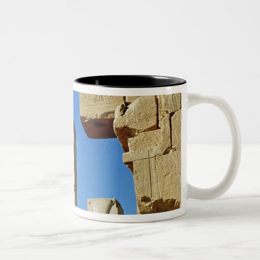 Pillars met gestileerde lotus tweekleurige koffiemok (Rechts)