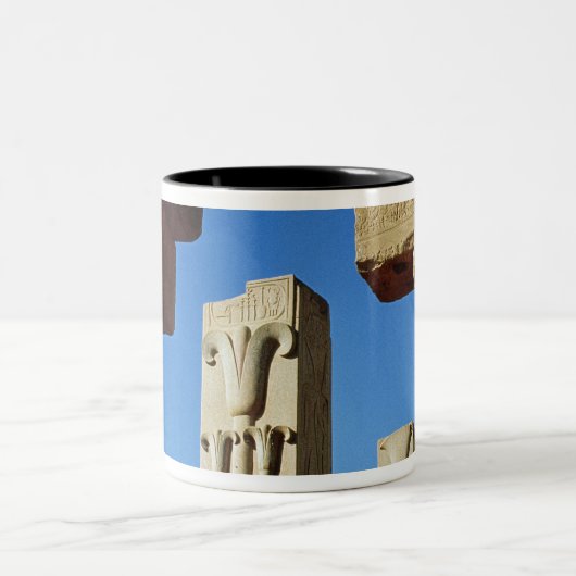 Pillars met gestileerde lotus tweekleurige koffiemok (Center)