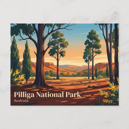Pilliga Nationaal Park Australië Briefkaart (Voorkant)