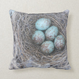 Pillow Bird's Nest Photography Natuur Eggs Kussen