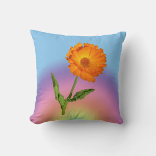 Pillow - Calendula en Rainbow Kussen